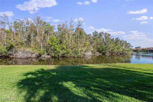 view of yard with a water view