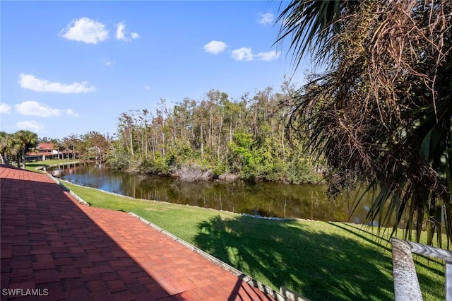 view of community featuring a lawn and a water view