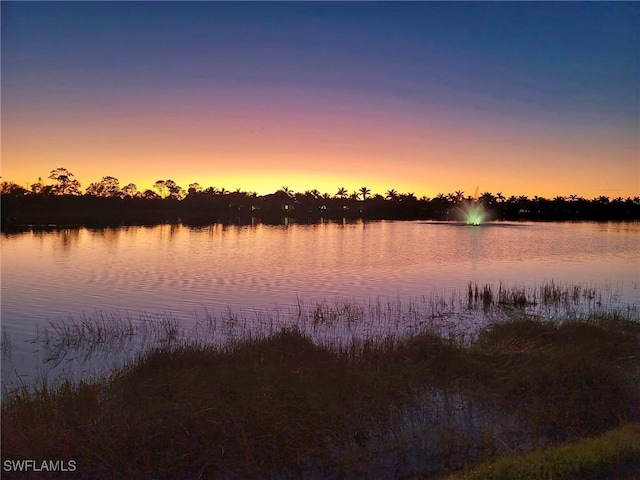 property view of water