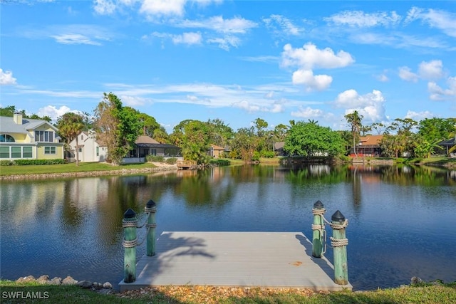 dock area with a water view