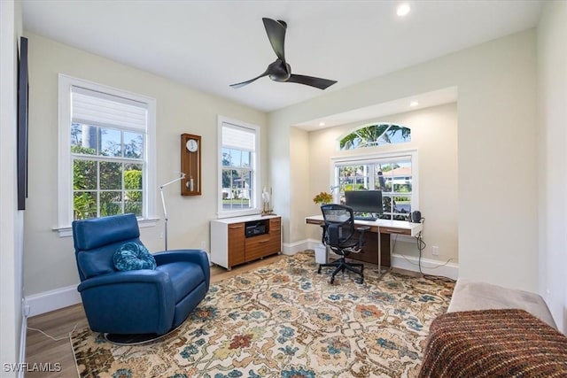 office space featuring ceiling fan, a healthy amount of sunlight, and light wood-type flooring