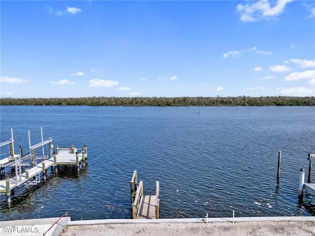 view of dock with a water view