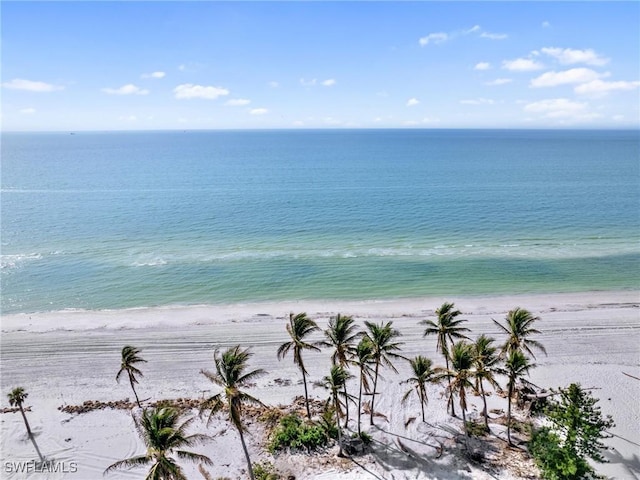 property view of water with a view of the beach