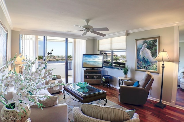 living room with ceiling fan, dark hardwood / wood-style flooring, and ornamental molding