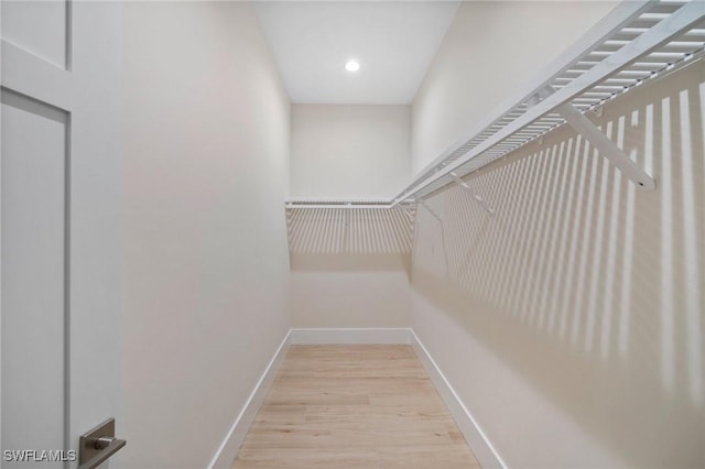 walk in closet with light wood-type flooring