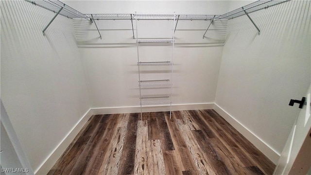 spacious closet featuring dark hardwood / wood-style flooring