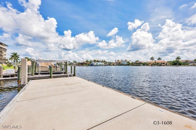 dock area with a water view