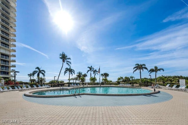 view of swimming pool