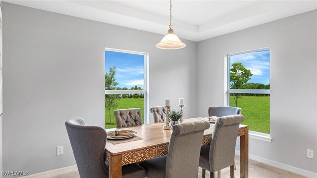 dining space featuring a healthy amount of sunlight