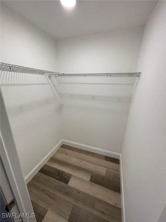 spacious closet featuring hardwood / wood-style flooring