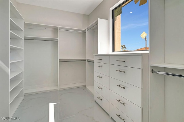 view of spacious closet