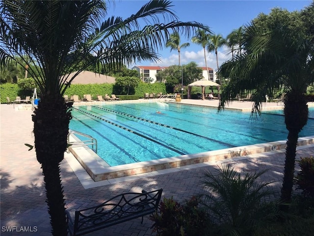 view of pool featuring a patio