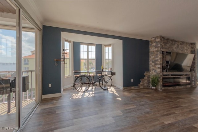 interior space with a fireplace, hardwood / wood-style flooring, and crown molding