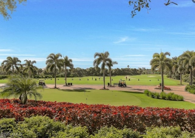 view of community with view of golf course and a yard