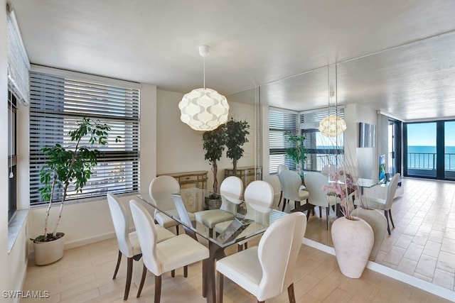 dining room featuring light hardwood / wood-style flooring