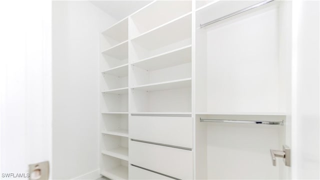 view of walk in closet