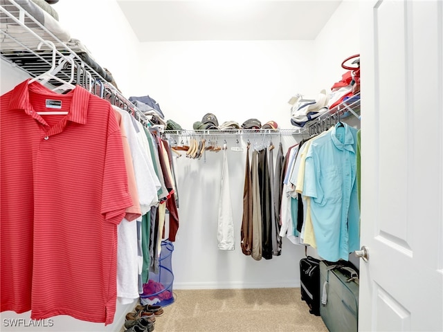 spacious closet featuring carpet flooring