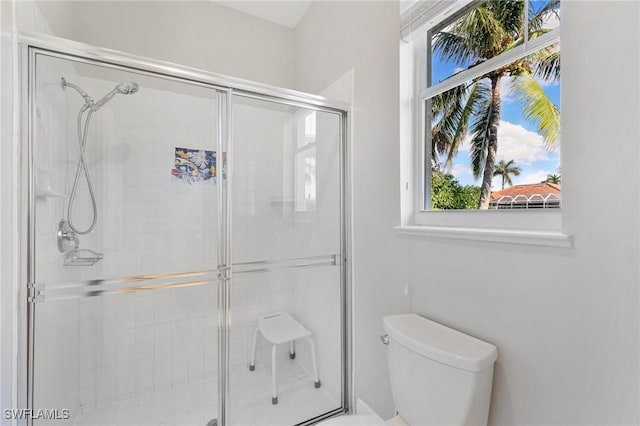 bathroom with toilet and a shower with shower door