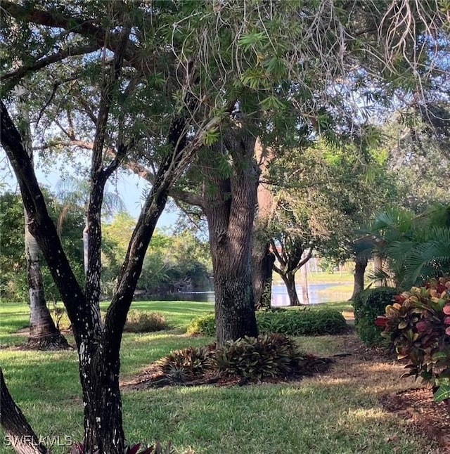 view of yard featuring a water view