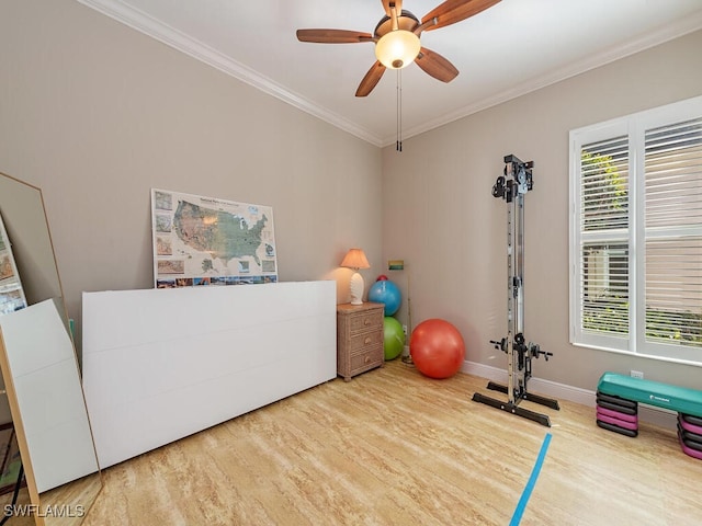 exercise room featuring crown molding, hardwood / wood-style floors, and ceiling fan