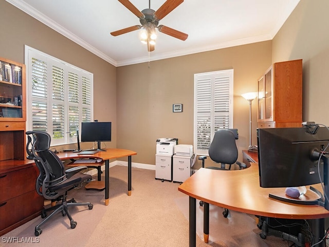 carpeted office featuring ceiling fan and ornamental molding