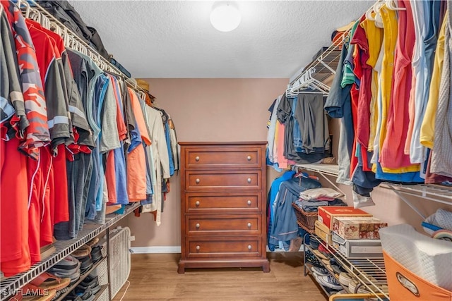 spacious closet with light hardwood / wood-style flooring