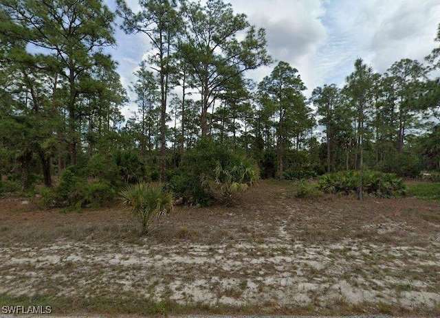 1720 Palmetto Ave, Lehigh Acres FL, 33972 land for sale