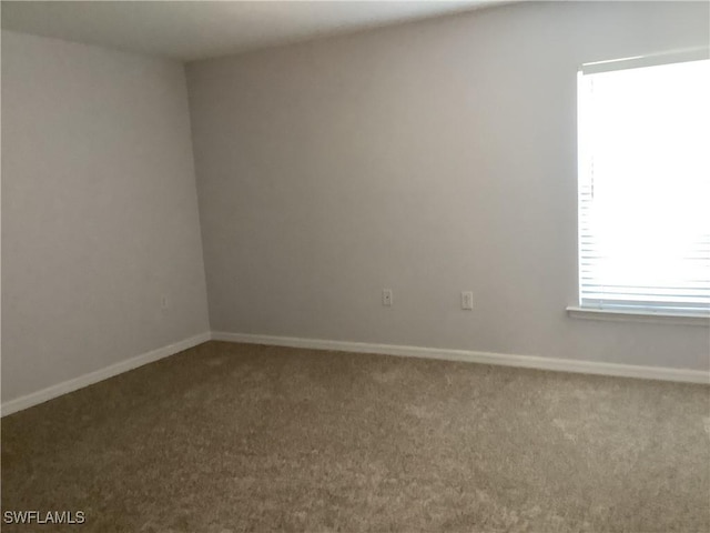 unfurnished room with carpet flooring