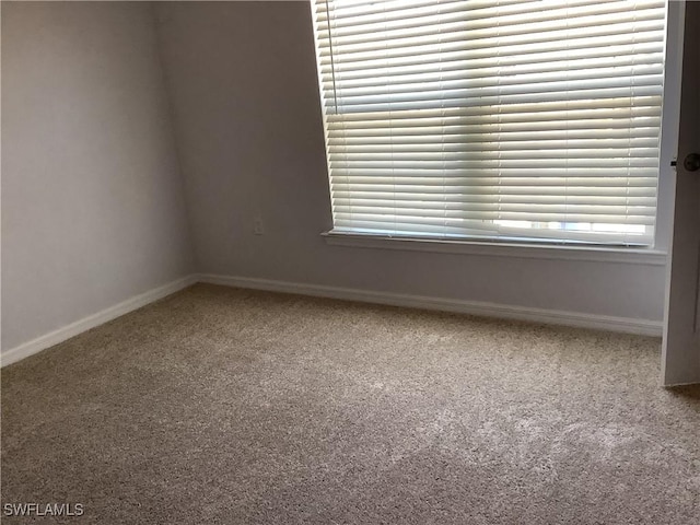 unfurnished room with carpet