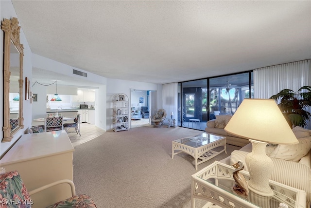 living room with a textured ceiling and light carpet