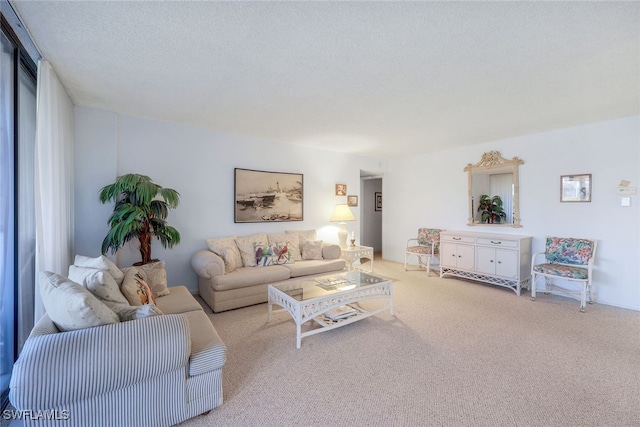 living room featuring light carpet and a textured ceiling