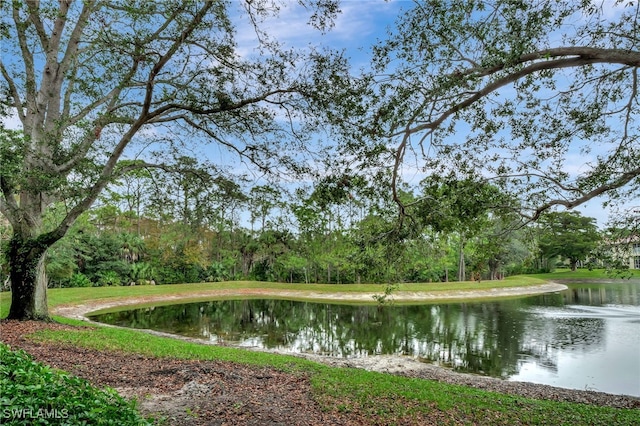 property view of water