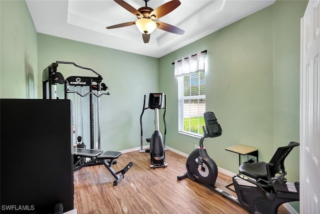 exercise area with hardwood / wood-style floors, a raised ceiling, and ceiling fan