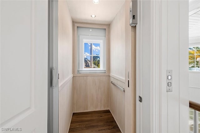 doorway featuring a healthy amount of sunlight, dark wood-type flooring, and elevator