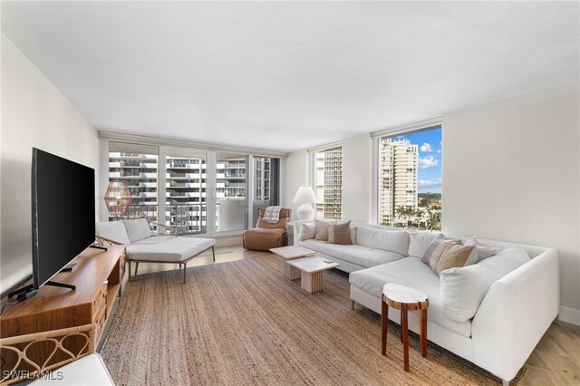 living room featuring expansive windows and light hardwood / wood-style floors