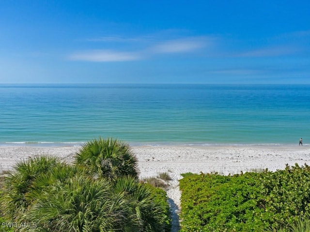 view of water feature featuring a beach view