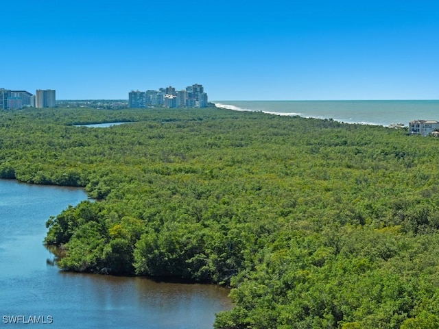 bird's eye view featuring a water view