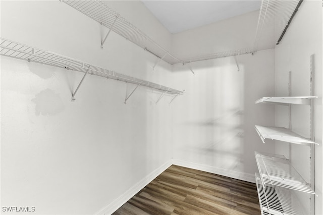 spacious closet featuring dark hardwood / wood-style floors