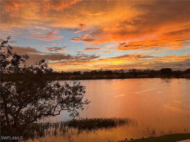 property view of water