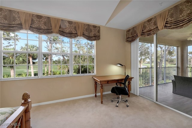 office with light colored carpet and a healthy amount of sunlight