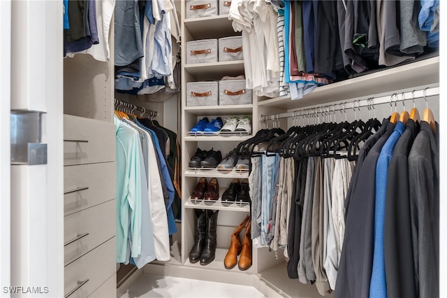 view of walk in closet