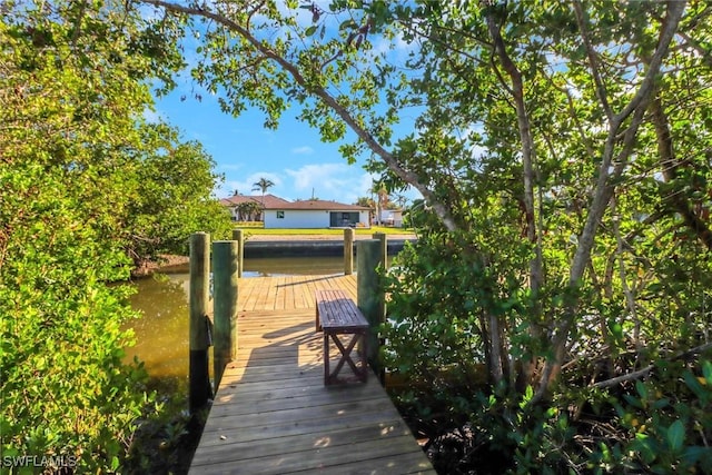 dock area featuring a water view