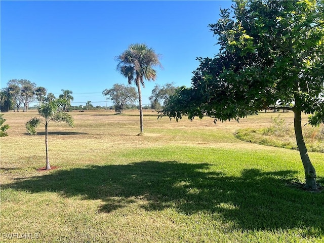 view of yard with a rural view