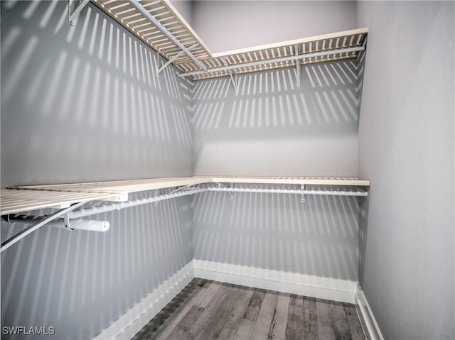 walk in closet with hardwood / wood-style flooring