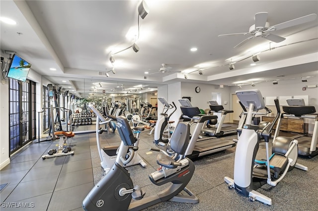 workout area featuring rail lighting and ceiling fan