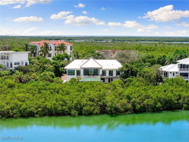 bird's eye view featuring a water view and a wooded view