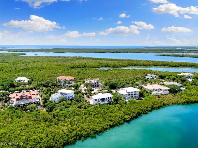 drone / aerial view featuring a forest view and a water view