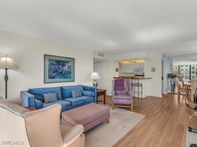 living room featuring light hardwood / wood-style floors