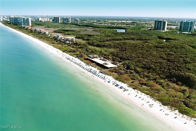 drone / aerial view with a water view and a beach view