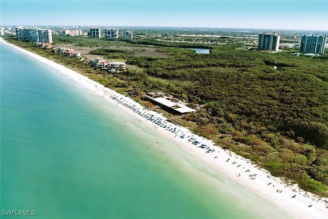 788 Willowbrook Dr Unit 502, Naples, FL 34108 - aerial view of waterfront with a beach